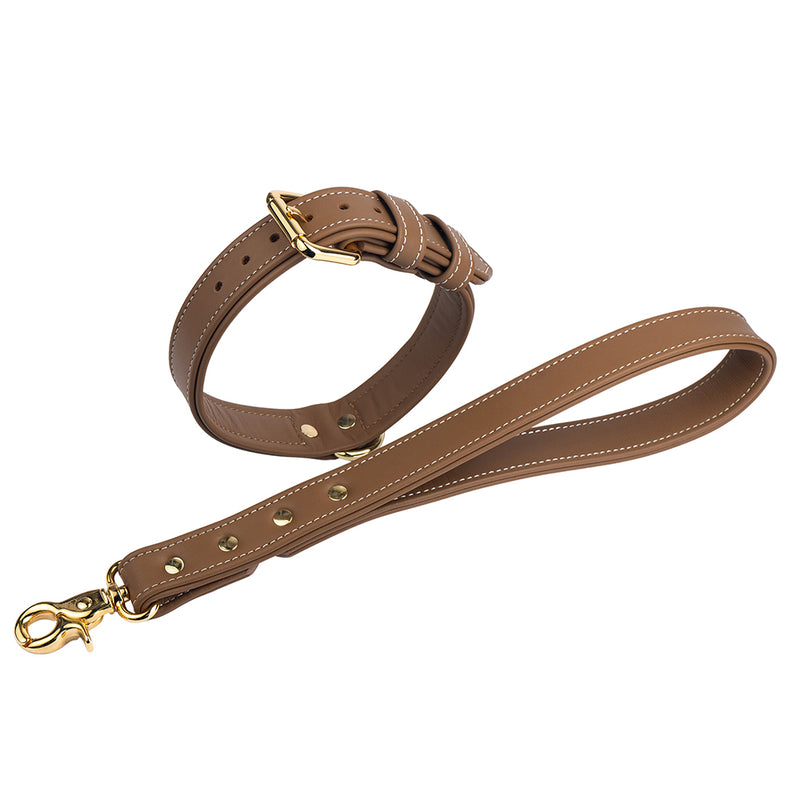 Caramel leather collar and leash