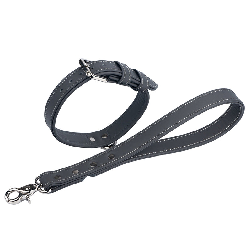 Steel leather collar and leash