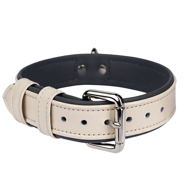 Beige-Steel Pet Collar