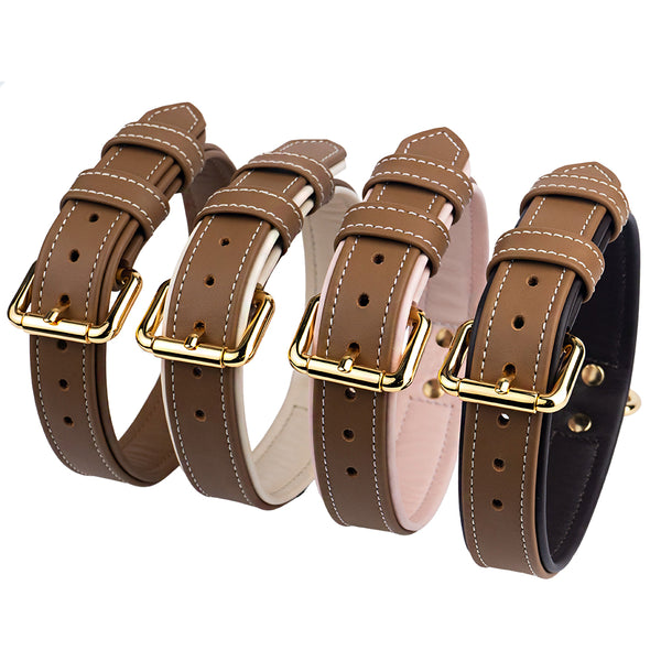 Collar Duo Caramel All Colors