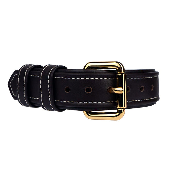 Leather Dark Chocolate Dog Collar with Gold Hardware