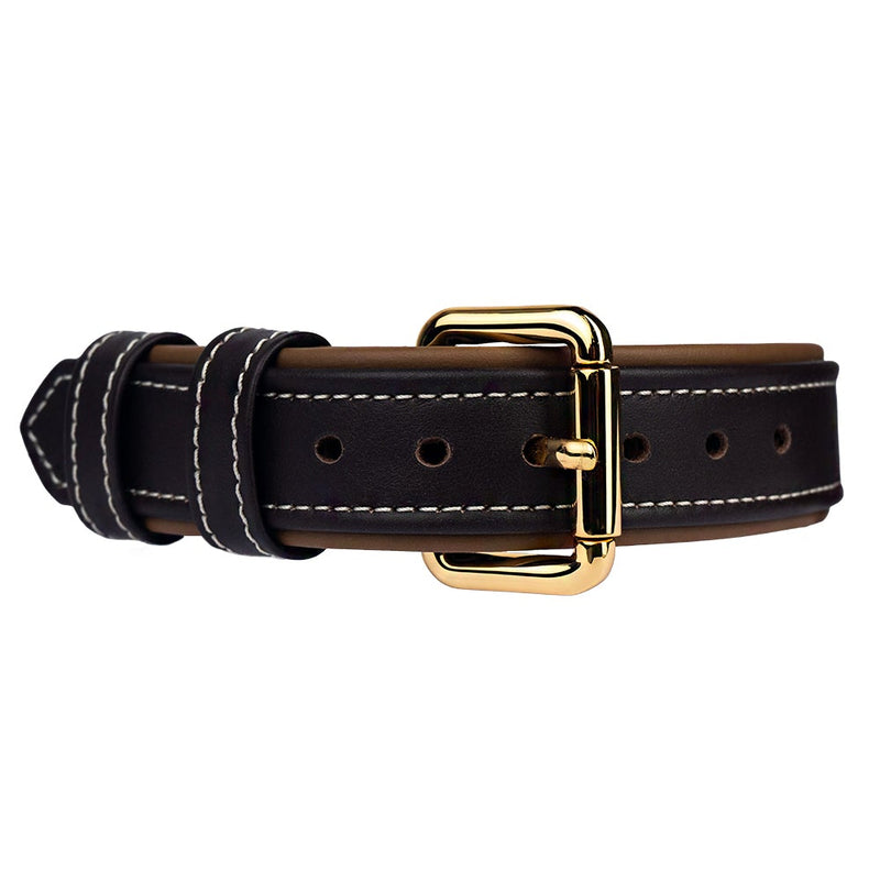 Leather Dark Chocolate-Caramel Dog Collar with Gold Hardware