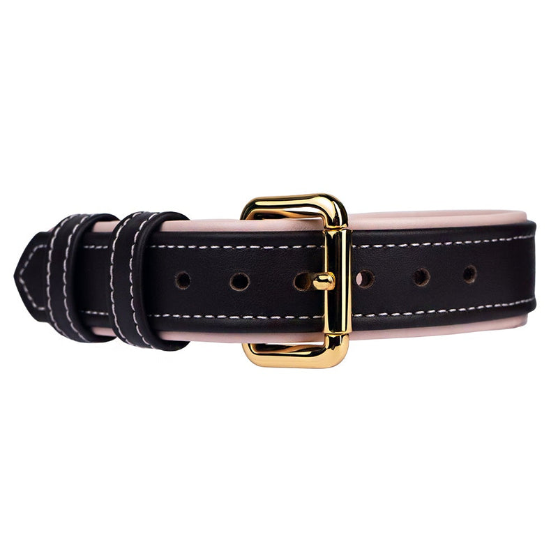 Leather Dark Chocolate-Lotus Dog Collar with Gold Hardware