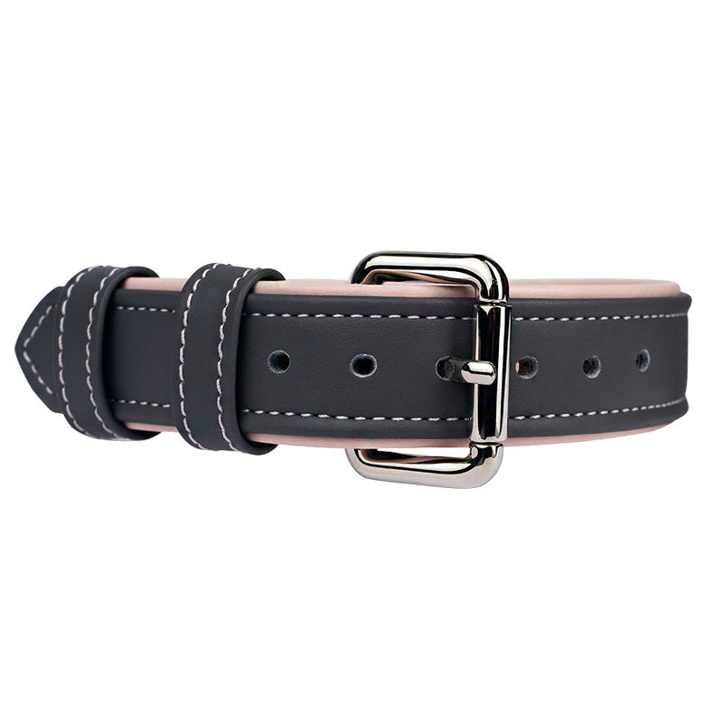 Leather Steel-Lotus Dog Collar with Silver Hardware
