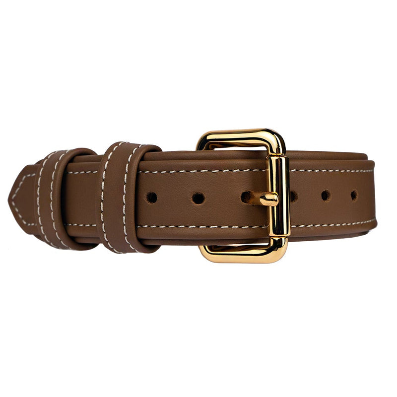 Leather Caramel Dog Collar with Gold Hardware