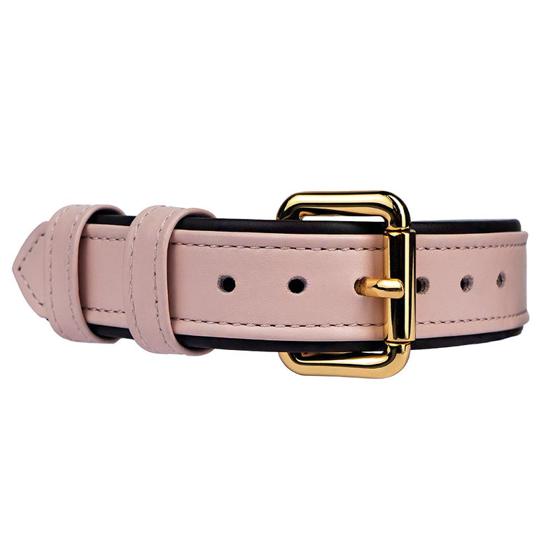 Leather Lotus-Dark Chocolate Dog Collar with Golden Hardware