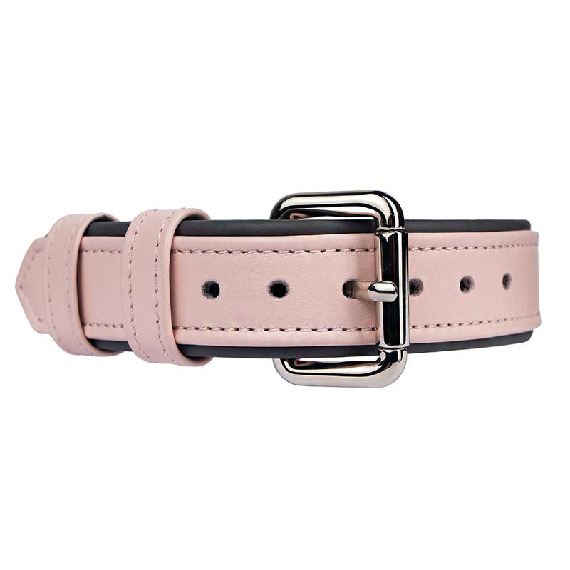 Leather Lotus-Steel Dog Collar with Silver Hardware