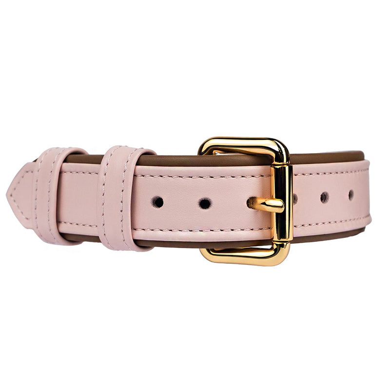 Leather Lotus-Caramel Dog Collar with Gold Hardware
