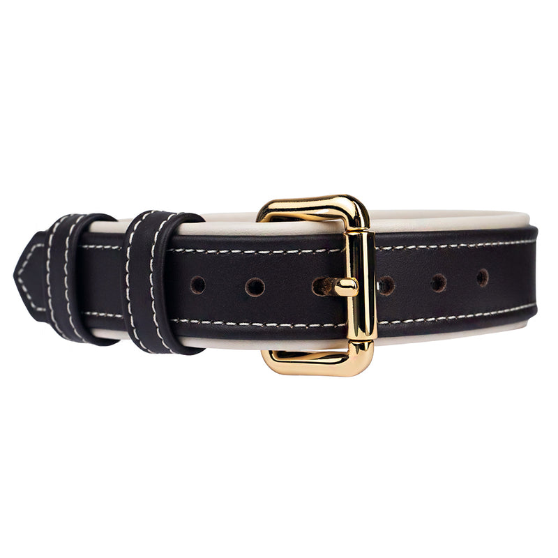 Leather Dark Chocolate-Beige Dog Collar with Gold Hardware