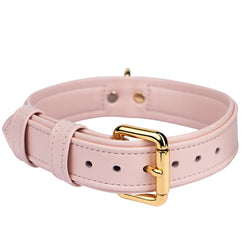Lotus Pet Collar