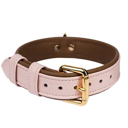 Lotus-Caramel Pet Collar