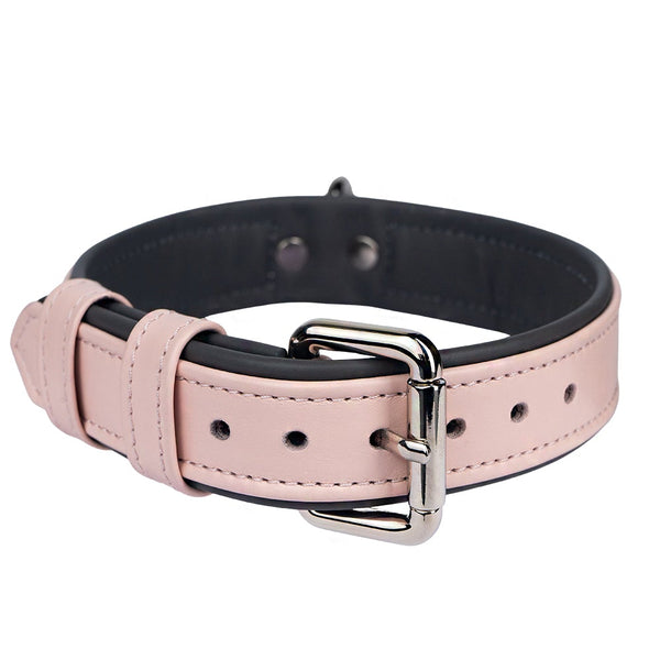 Lotus-Steel Pet Collar