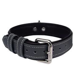 Steel-Dark Chocolate Pet Collar