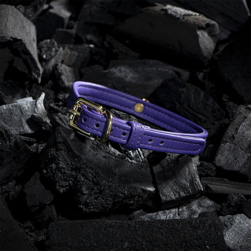 Dog Violet Collar with Metal Ring on coals Another Side