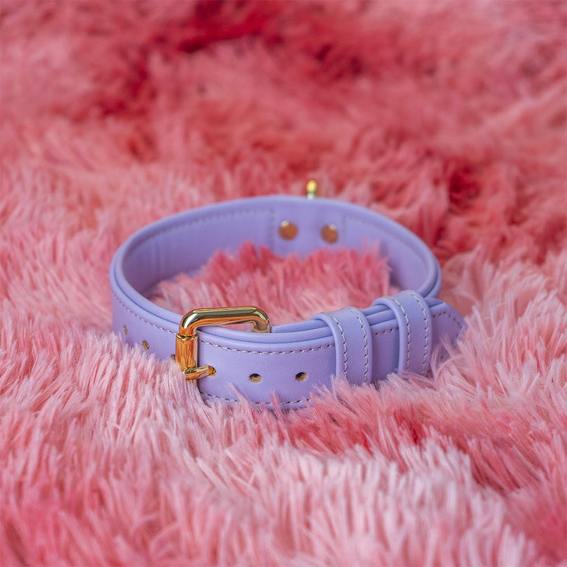 Purple Collar for Dogs