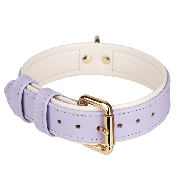 Collar Duo Light Violet-Beige