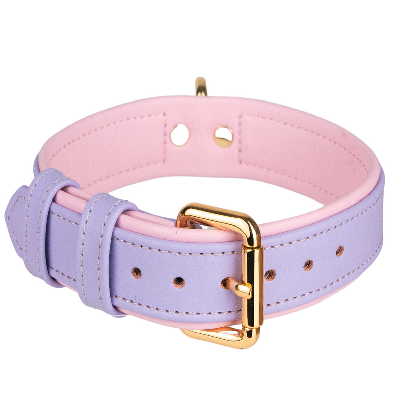 Purple-Pink Pet Collar
