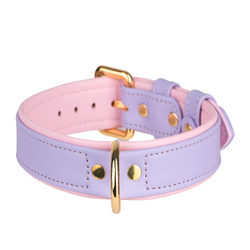Leather Purple-Pink Dog Collar