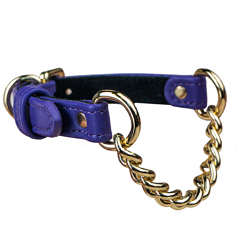 Violet collar with chain