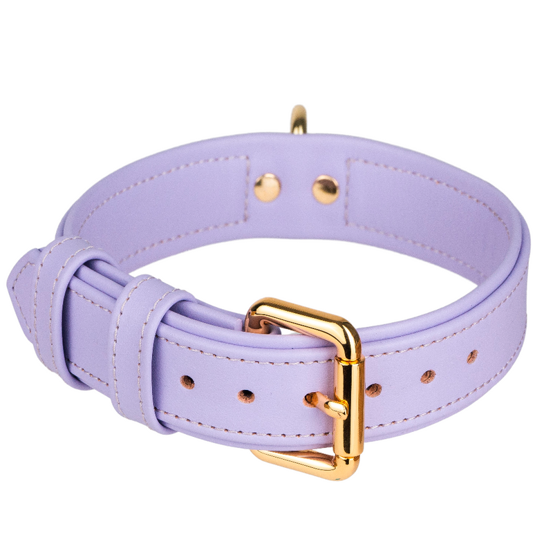 Violet Pet Collar