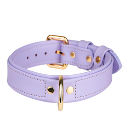 Leather Purple Dog Collar