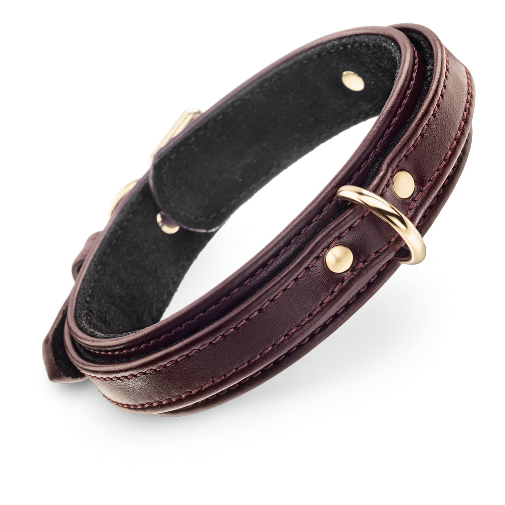 Burgundy leather dog collar online