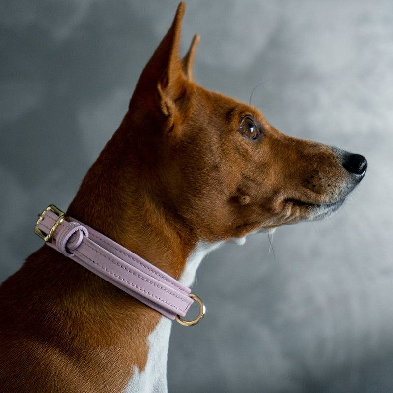Pink Collar with Soft Suede on Dog