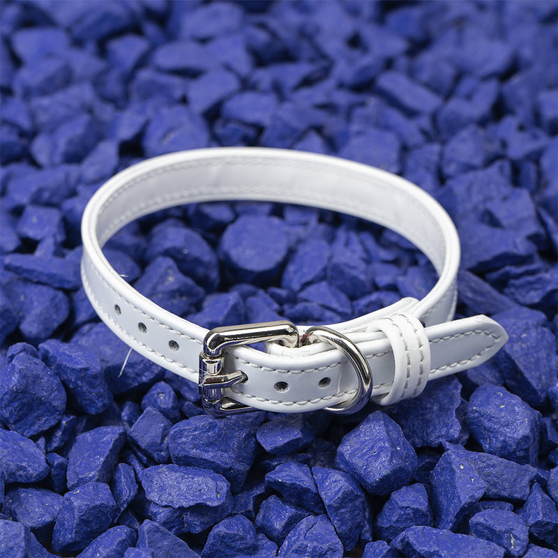 White Patent Collar on Blue Stone