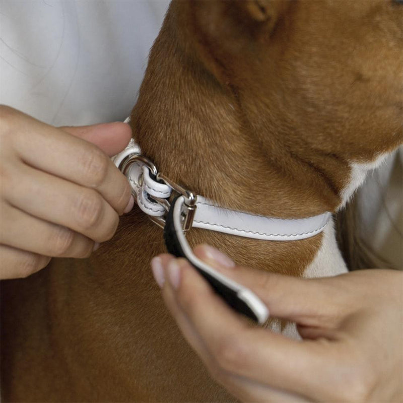 Adjustable Collar with Nickel Plated Hardware