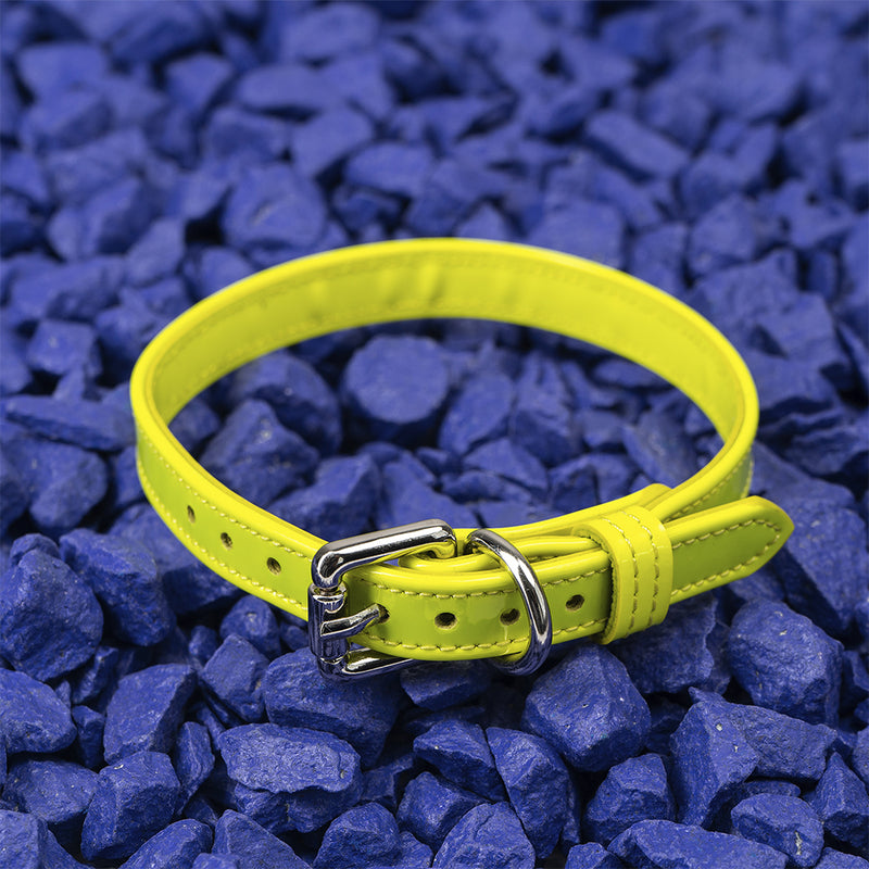 Yellow Neon Collar on Blue Stone